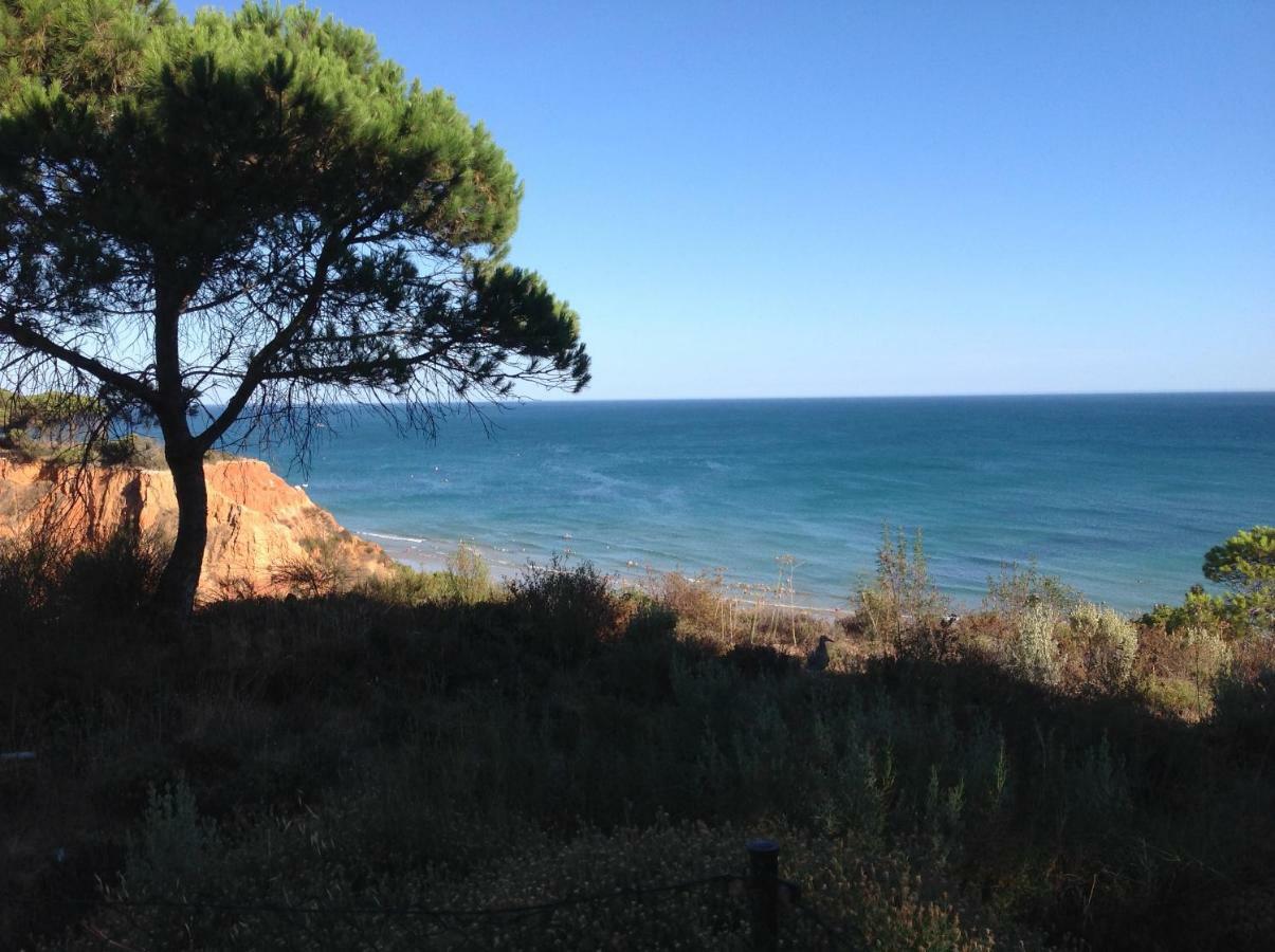 Sailing Studio Acoteias Albufeira Exterior photo